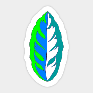 beautiful calathea leaf Sticker